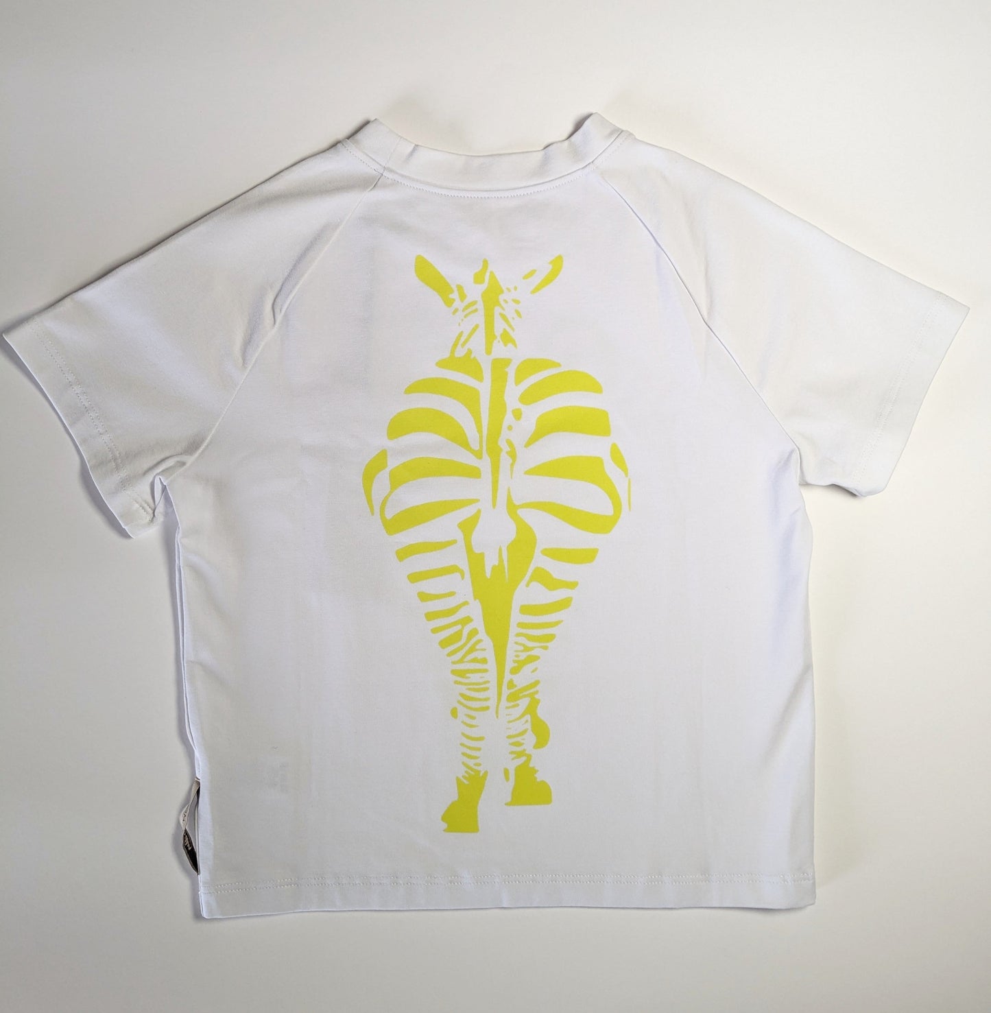 T - shirt Zebra